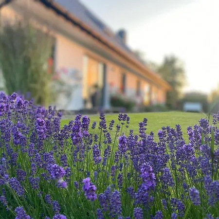 Haus Suedwind Am Ostdeich Apartament