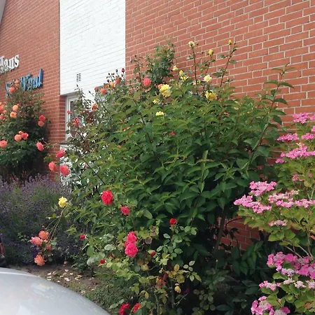 Haus Südwind Am Ostdeich *